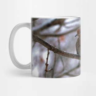 Winter Mourning Dove Perched In a Tree Mug